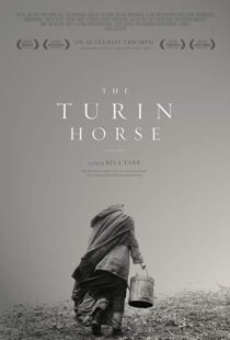 دانلود فیلم The Turin Horse 201110493-1979744264