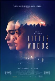 دانلود فیلم Little Woods 201822292-194270366