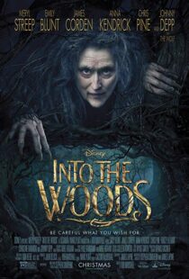 دانلود فیلم Into the Woods 20143675-99031684