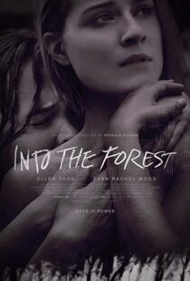 دانلود فیلم Into the Forest 20159776-620696433