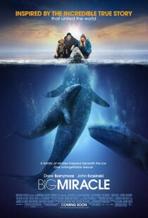 دانلود فیلم Big Miracle 201218814-85144400
