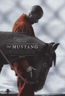 دانلود فیلم The Mustang 201910122-1313560511