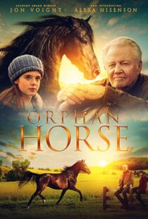 دانلود فیلم Orphan Horse 20188125-1813336681