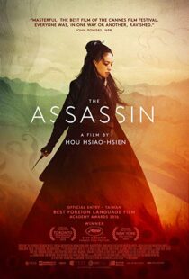 دانلود فیلم The Assassin 201513760-1635217787
