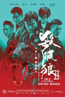 دانلود فیلم Kill Zone 2 20151845-1827049433