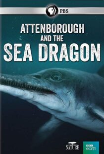 دانلود مستند Attenborough and the Sea Dragon 20188753-984438794