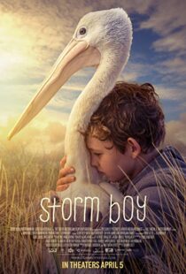 دانلود فیلم Storm Boy 20199003-1958192845