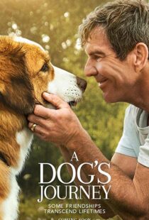 دانلود فیلم هندی A Dog’s Journey 201915660-890721732