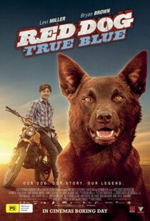 دانلود فیلم Red Dog: True Blue 20168899-1009941114