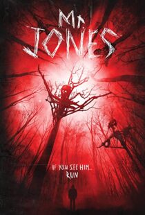 دانلود فیلم Mr. Jones 201337611-1843790742