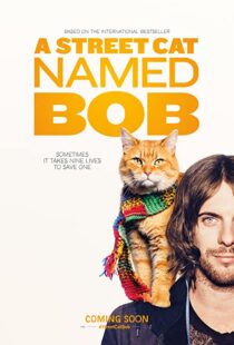 دانلود فیلم A Street Cat Named Bob 201641621-334823606