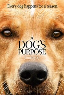 دانلود فیلم A Dog’s Purpose 201741616-1411586113