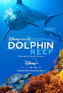 دانلود مستند Dolphin Reef 201838724-946872597