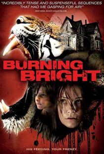 دانلود فیلم Burning Bright 201049964-1702426029