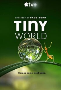 دانلود مستند Tiny World52124-729624865