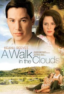 دانلود فیلم A Walk in the Clouds 199553815-2052127013