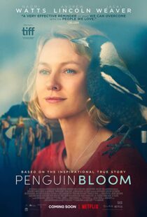 دانلود فیلم Penguin Bloom 202073302-1878993948