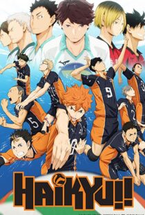 دانلود انیمه Haikyu!!80601-782146694