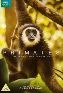 دانلود مستند Primates77865-1685760368