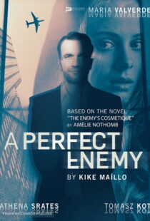 دانلود فیلم A Perfect Enemy 202082295-931545135
