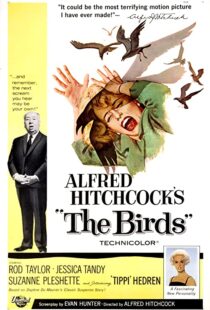 دانلود فیلم The Birds 196382372-2069900095