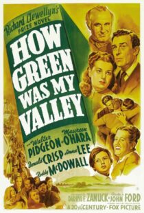 دانلود فیلم How Green Was My Valley 194181855-970964489