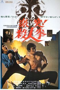 دانلود فیلم The Street Fighter 197483791-663966274