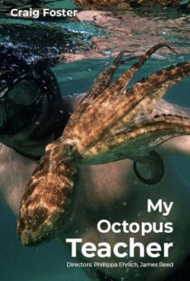 دانلود مستند My Octopus Teacher 202082343-197383847