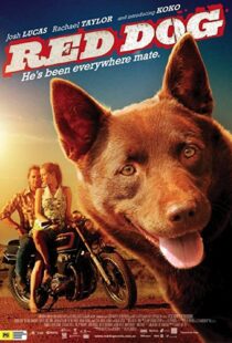 دانلود فیلم Red Dog 201187414-654685958
