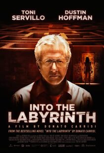 دانلود فیلم Into the Labyrinth 201991141-922666263