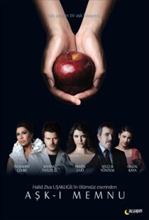 دانلود سریال Forbidden Love94309-697682751