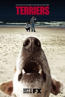 دانلود سریال Terriers100032-1093391142