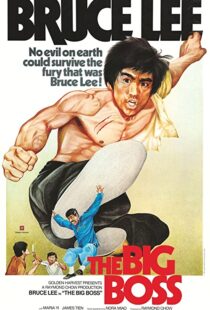 دانلود فیلم The Big Boss 197197560-21995481
