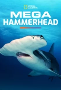 دانلود مستند Mega Hammerhead 2016103122-291958222