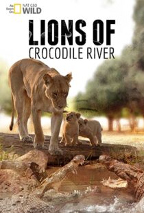 دانلود مستند Lions of Crocodile River 2007103328-418225627