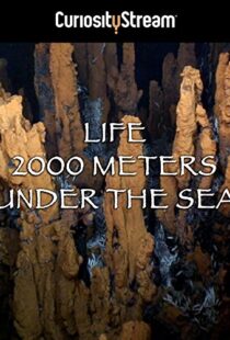 دانلود مستند Life 2,000 Meters Under the Sea 2014103931-369866984