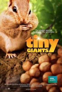 دانلود مستند Tiny Giants 3D 2014109664-469190102