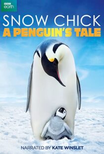 دانلود مستند Snow Chick: A Penguin’s Tale 2015109604-1844711632