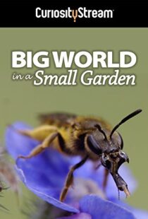 دانلود مستند Big World in a Small Garden 2016102965-294036500