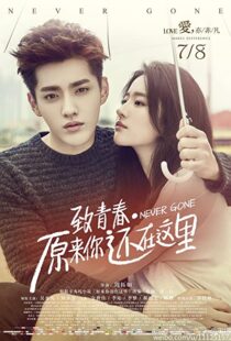 دانلود فیلم Never Gone 2016110283-467100950