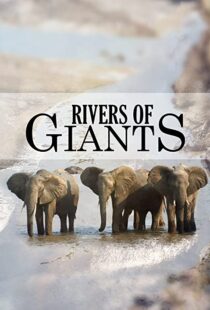 دانلود مستند Rivers of Giants 2005102245-413152053