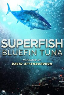 دانلود مستند Superfish Bluefin Tuna 2012101607-112231251