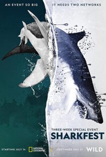 دانلود مستند Man vs. Shark 2019104475-1184111065