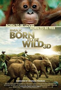 دانلود مستند Born to Be Wild 2011110503-629647406
