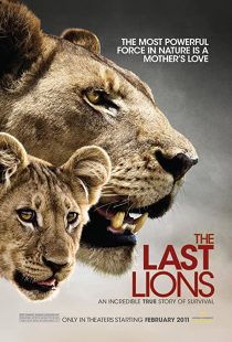 دانلود مستند The Last Lions 2011195626-1889341073