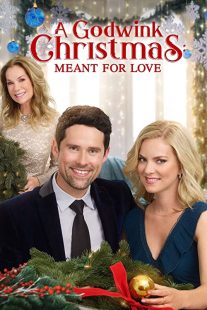 دانلود فیلم A Godwink Christmas: Meant for Love 201931842-1336418149