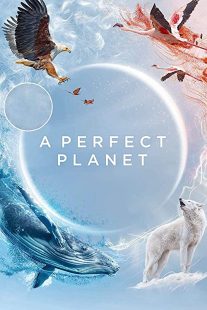 دانلود مستند A Perfect Planet231098-1721557983