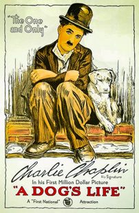 دانلود فیلم A Dog’s Life 1918270674-919982536