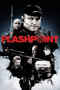 دانلود سریال Flashpoint322367-728976336