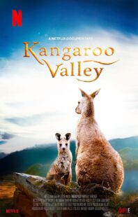 دانلود فیلم Kangaroo Valley 2022322977-1102780728